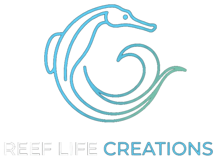 Reef Life Creations | Punch Bowl Aquaculture